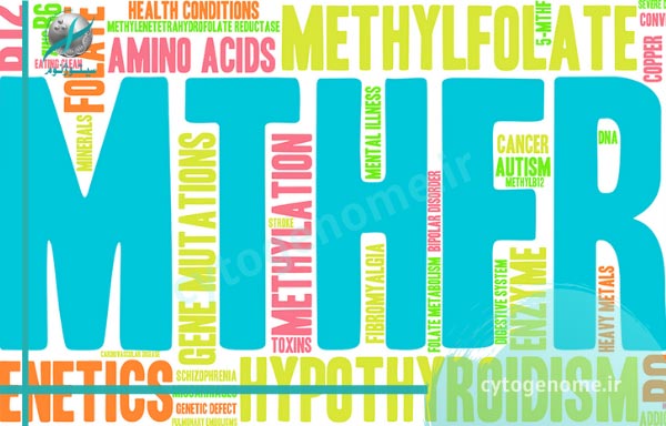 بررسی متیلن تترا هیدرو فولات ردکتاز – MTHFR