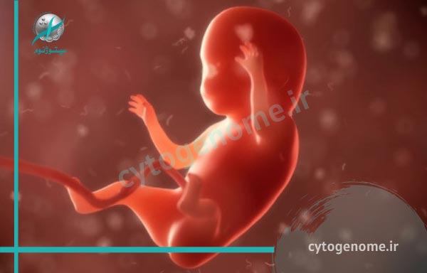 تشخیص پدر واقعی جنین قبل از تولد