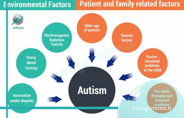 عوامل خطر اوتیسم