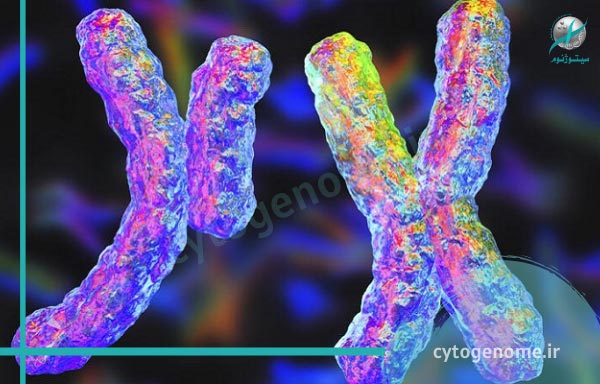 اختلال ساختاری کروموزوم
