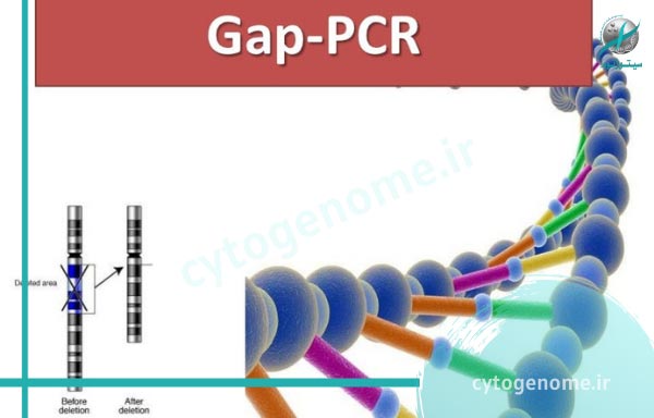 آزمایش GAP-PCR