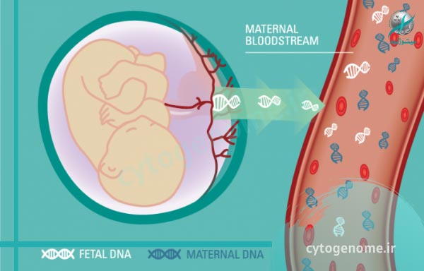 بررسی دی ان ای جنین از طریق خون مادر