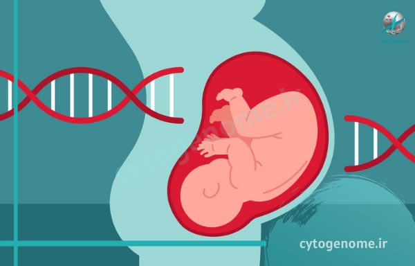 هزینه آزمایش ژنتیک بارداری