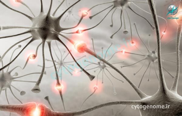 درمان آتاکسی مغزی نخاعی نوع 1